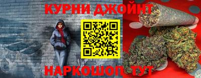 бошки Дубна