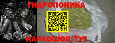 дмт Донской