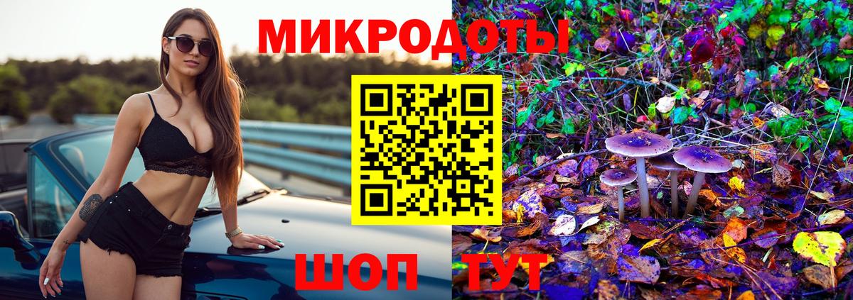 Псилоцибиновые грибы прущие грибы Минеральные Воды