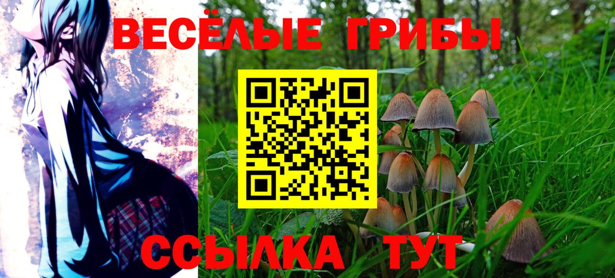 Псилоцибиновые грибы MAGIC MUSHROOMS  где найти наркотики  Минеральные Воды  Вход с VPN 